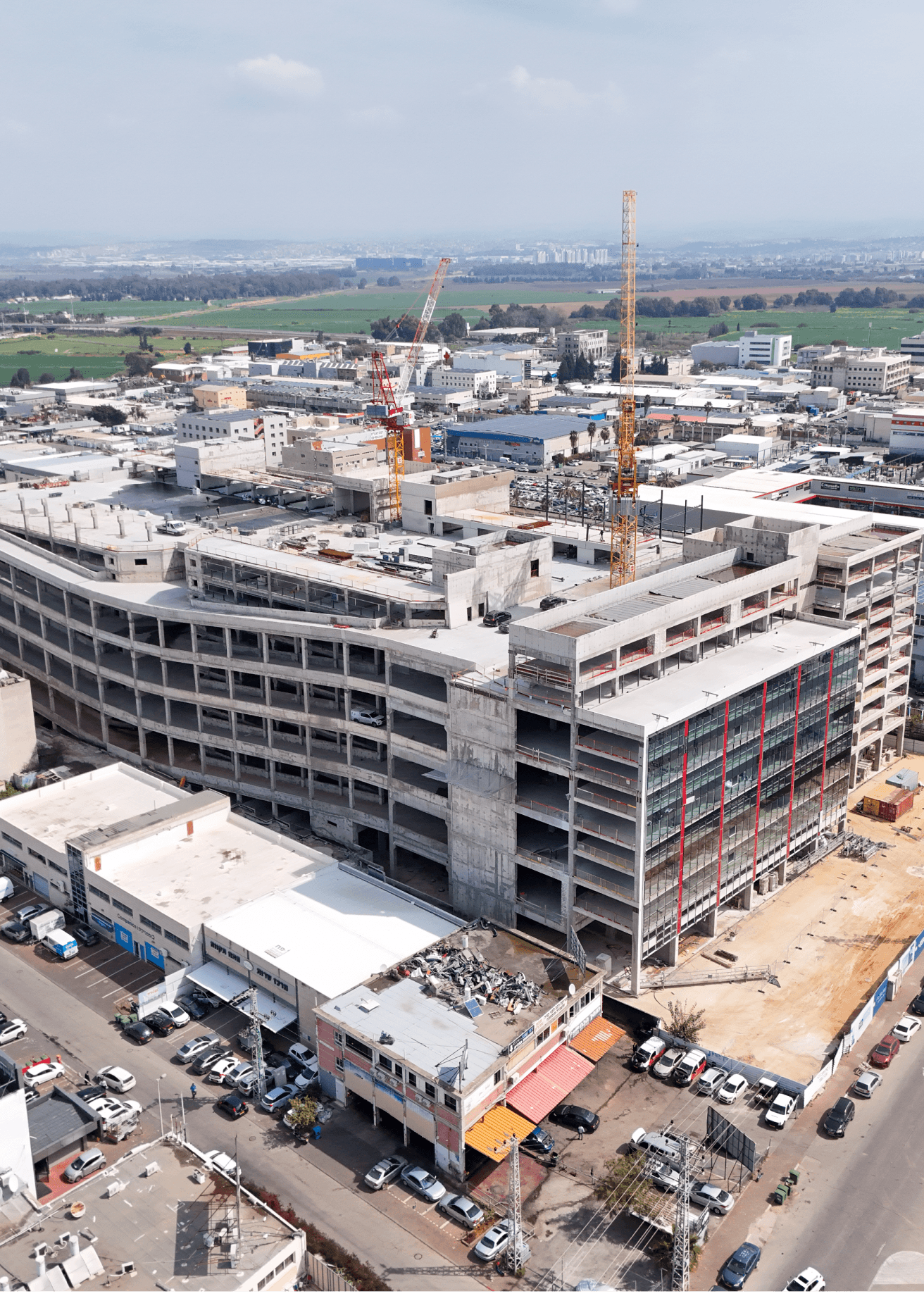 יוקה פארק סגולה